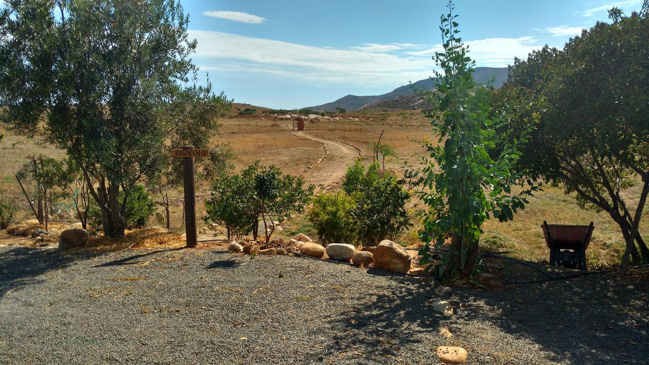 Vinofilia Wine Country Inn Valle de Guadalupe Kültér fotó